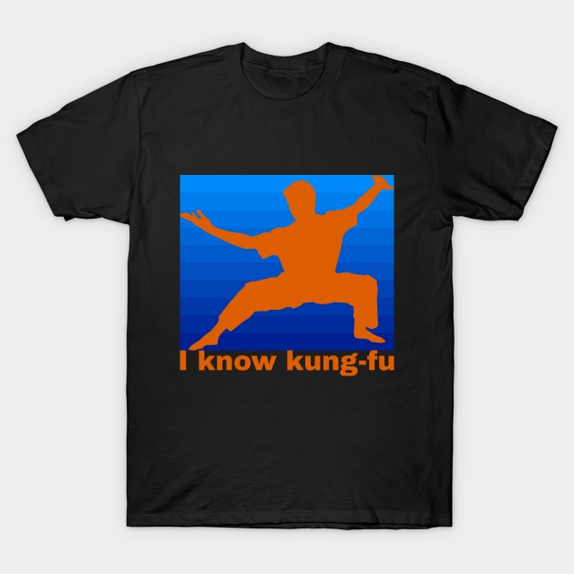 I  know kung-fu t-shirt T-Shirt by In_Design_We_Trust